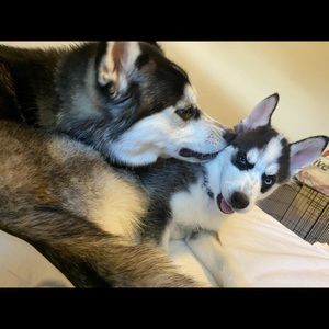 Meet your Posher, Julie